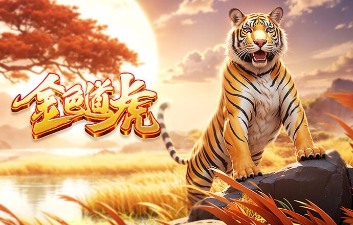 世界杯小组赛将交手，塞内加尔主帅：挪威目前是欧洲最强球队